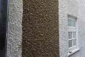 Close-up of professional pebble dash wall finish